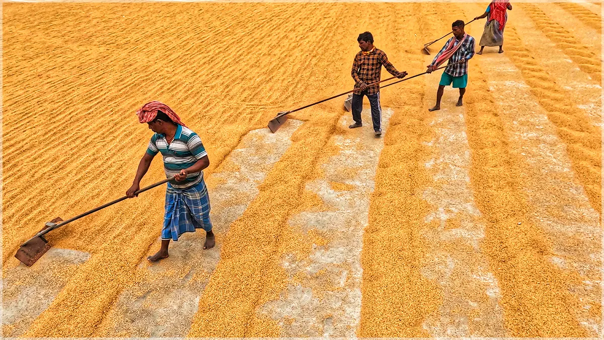 Iran Puts Silent Ban On Indian Essential Imports Amid Trade Tensions: What’s Next for India?